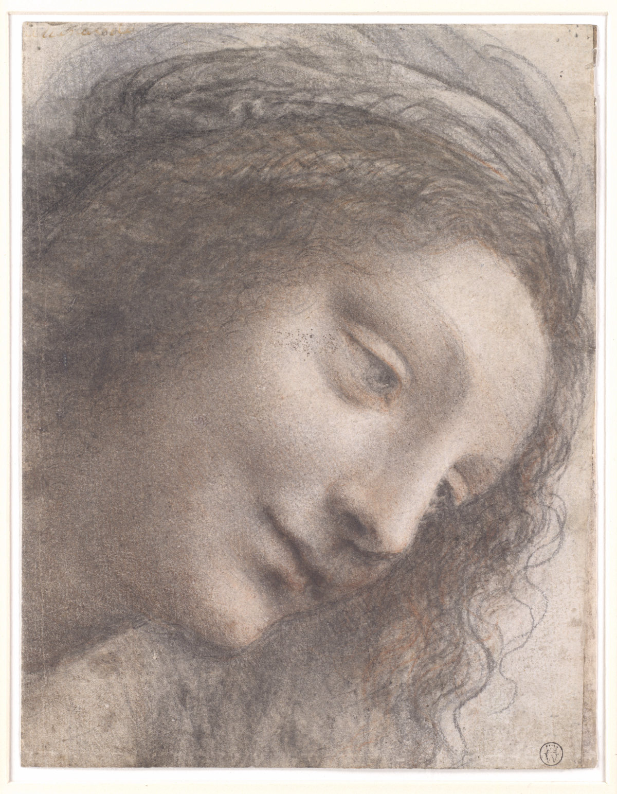 Leonardo, Head of the Virgin, crop keeps the head