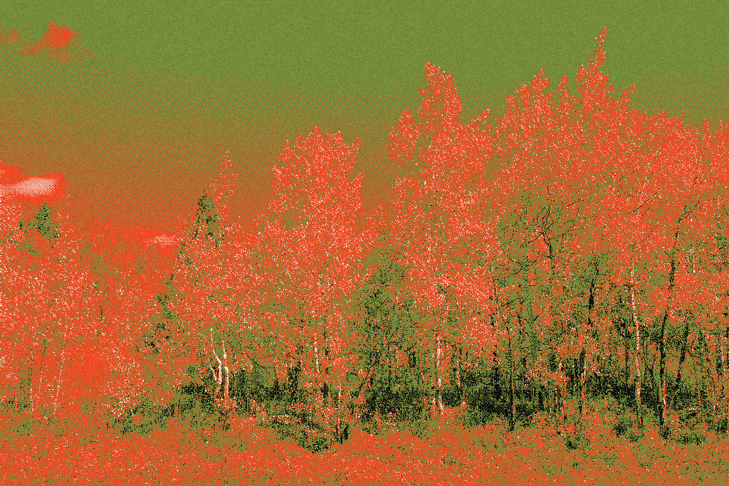 Grand Teton, Milo National Park recipe