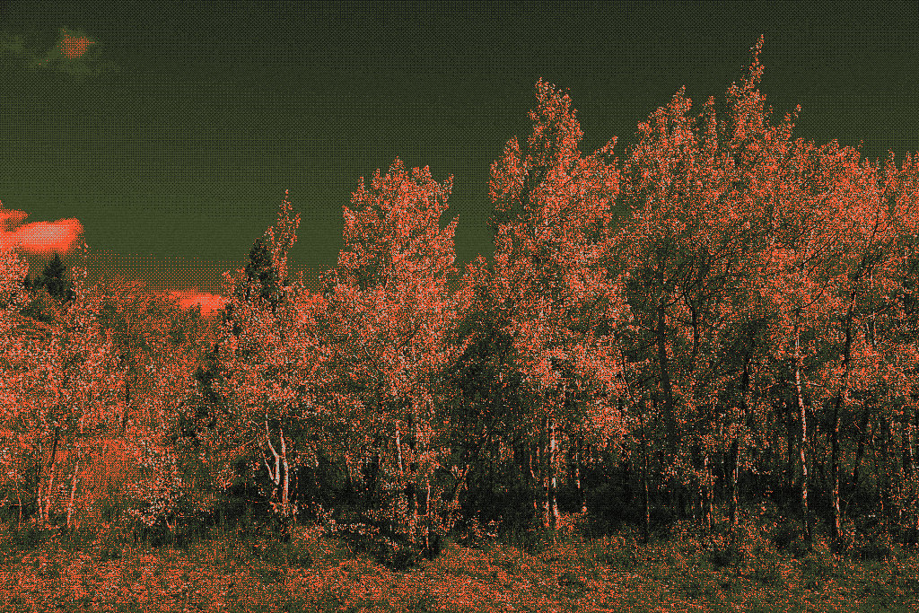 Grand Teton, Milo Nous recipe