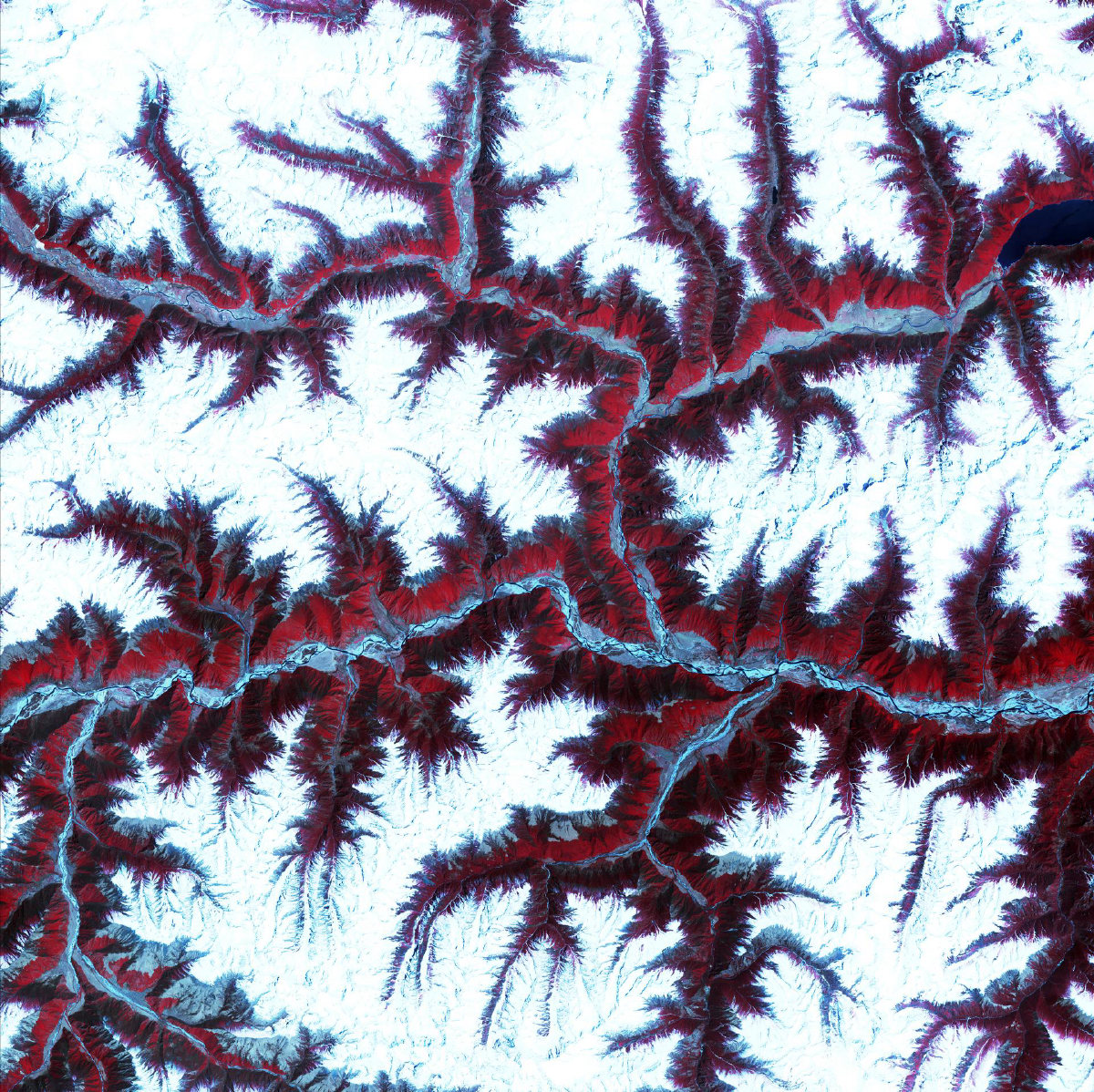 Himalayas, glitching