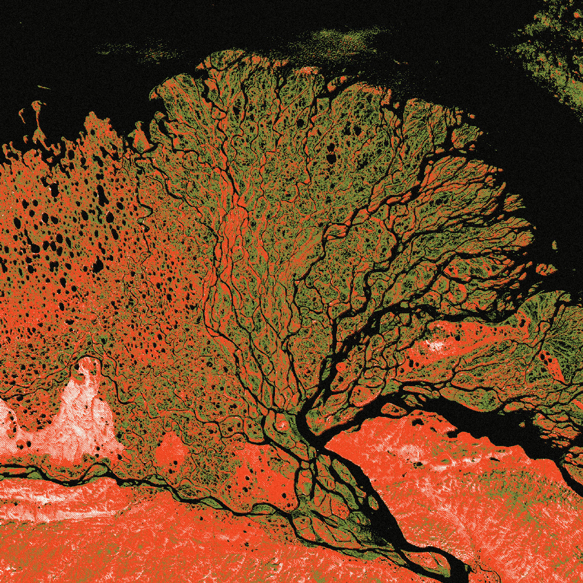Lena Delta, National Park recipe